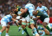 Enforcer Etzebeth looking to the future after Springbok milestone