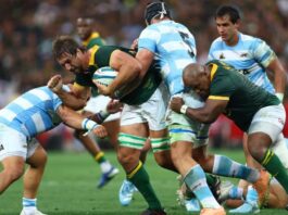 Enforcer Etzebeth looking to the future after Springbok milestone