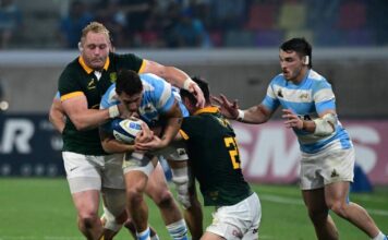 Erasmus recalls regulars for wild Rugby Championship showdown