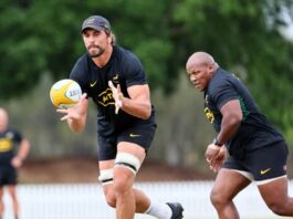 Etzebeth equals record for most Springbok caps