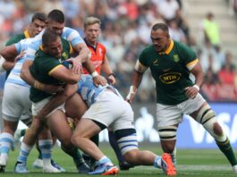 Is South Africa vs Argentina on TV? Kick-off time, channel and how to watch Rugby Championship clash