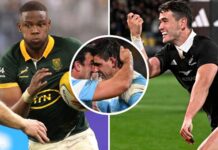 Rugby Championship Team of the Tournament: Seven Springboks in XV : Planet Rugby