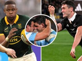 Rugby Championship Team of the Tournament: Seven Springboks in XV : Planet Rugby