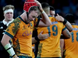 Scott Barrett’s Wallabies warning before Bledisloe Cup clash in Wellington