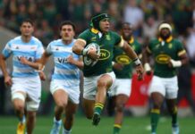 Springboks claim Rugby Championship title on Etzebeth's special day