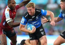 Western Force’s Harry Potter to make long-awaited return against Premier Grade representative side Perth Gold