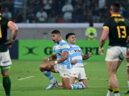 What has happened to all the Rugby Championship teams?