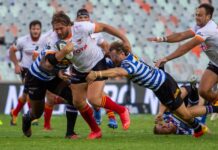 Cheetahs target 2026 Super Rugby return