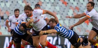 Cheetahs target 2026 Super Rugby return