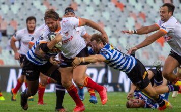 Cheetahs target 2026 Super Rugby return