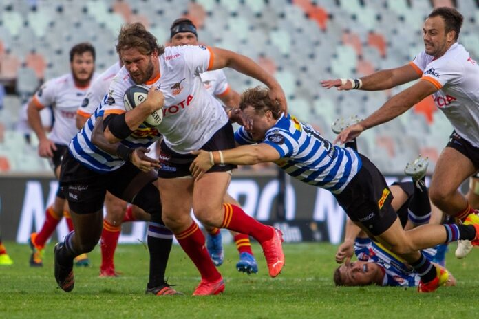 Cheetahs target 2026 Super Rugby return