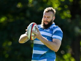 RG Snyman set for Leinster debut as Leo Cullen makes 12 changes for Benetton