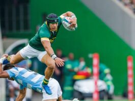Investment strategies top SA Rugby, World Rugby agendas