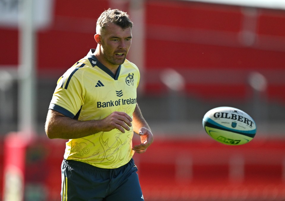 Peter O'Mahony was on of a number of players who agreed with the profit share model