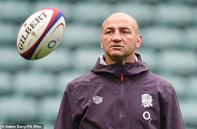 Steve Borthwick has a raft of wide players to choose from when selecting his England squad for the autumn Tests at Twickenham