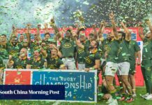 Springboks up for sale to private equity group, SA Rugby to hand over commercial rights