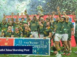 Springboks up for sale to private equity group, SA Rugby to hand over commercial rights
