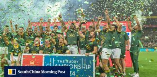 Springboks up for sale to private equity group, SA Rugby to hand over commercial rights