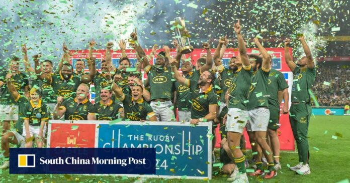 Springboks up for sale to private equity group, SA Rugby to hand over commercial rights