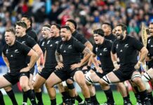 shutterstock_ALL BLACKS 1-1730387095544