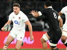 Autumn internationals: Where rugby's top 10 sit this November