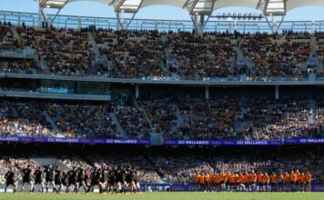 Bledisloe heads West, Argentina north as Wallabies home Rugby Championship Tests confirmed