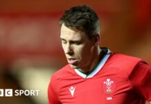 Liam Williams and Johnny Williams: Scarlets' Wales pair aim for Six Nations return