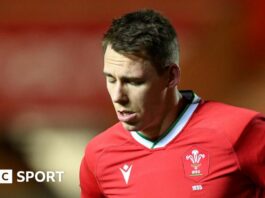 Liam Williams and Johnny Williams: Scarlets' Wales pair aim for Six Nations return