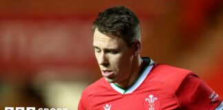 Liam Williams and Johnny Williams: Scarlets' Wales pair aim for Six Nations return