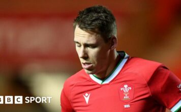 Liam Williams and Johnny Williams: Scarlets' Wales pair aim for Six Nations return