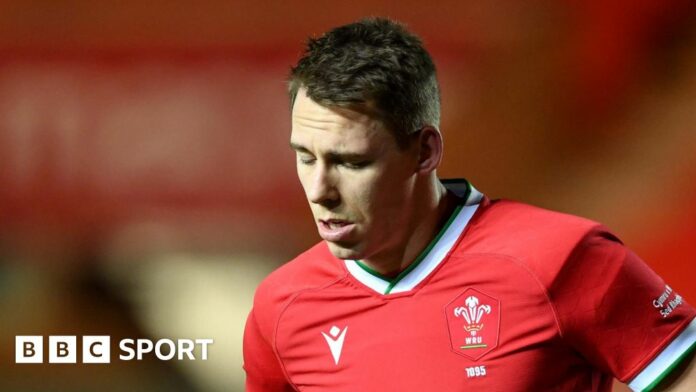 Liam Williams and Johnny Williams: Scarlets' Wales pair aim for Six Nations return