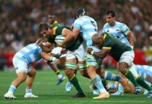 Rugby: Rugby-Enforcer Etzebeth looking to the future after Springbok milestone