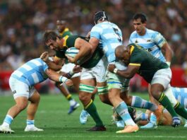Rugby: Rugby-Enforcer Etzebeth looking to the future after Springbok milestone