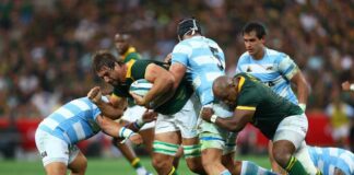 Rugby: Rugby-Enforcer Etzebeth looking to the future after Springbok milestone