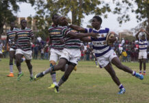 Rugby in Zimbabwe - Zimbabwe Situation