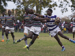 Rugby in Zimbabwe - Zimbabwe Situation