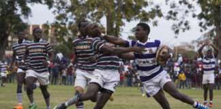 Rugby in Zimbabwe - Zimbabwe Situation