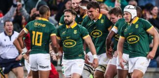 SA Rugby to sell control of Springboks’ commercial rights to US private equity firm