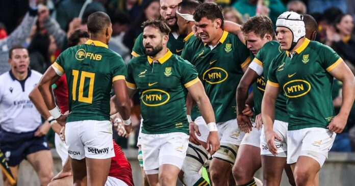 SA Rugby to sell control of Springboks’ commercial rights to US private equity firm