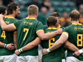 Springboks' $75m private equity deal 'on verge of collapse' : Planet Rugby
