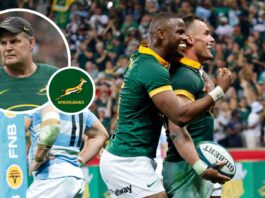 Springboks: An 11-year first should be the bare minimum for Rassie : Planet Rugby