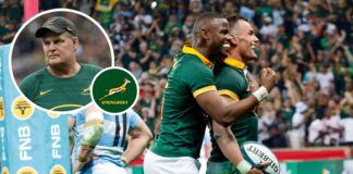 Springboks: An 11-year first should be the bare minimum for Rassie : Planet Rugby