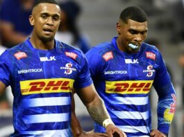 Stormers gain first win with rout of Zebre