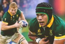 The current day Springboks who can realistically make it into the Hall of Fame