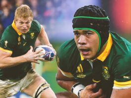 The current day Springboks who can realistically make it into the Hall of Fame