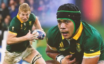 The current day Springboks who can realistically make it into the Hall of Fame