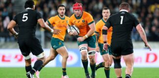 The winners and losers from Wallabies’ Rugby Championship campaign