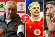 Wales squad winners and losers: Wainwright headlines Gatland's selection : Planet Rugby