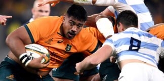 Will Skelton makes his decision on Wallabies availability for year-end Tests : Planet Rugby