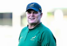 Rassie Erasmus Springbok coach